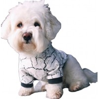 Hot Sale Custom Fashion Soft Dog Hoodie Dog Clothes Pet Dog Coat Jacket