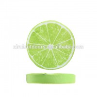 Mulicolour Removable Fruits Pet Cushion